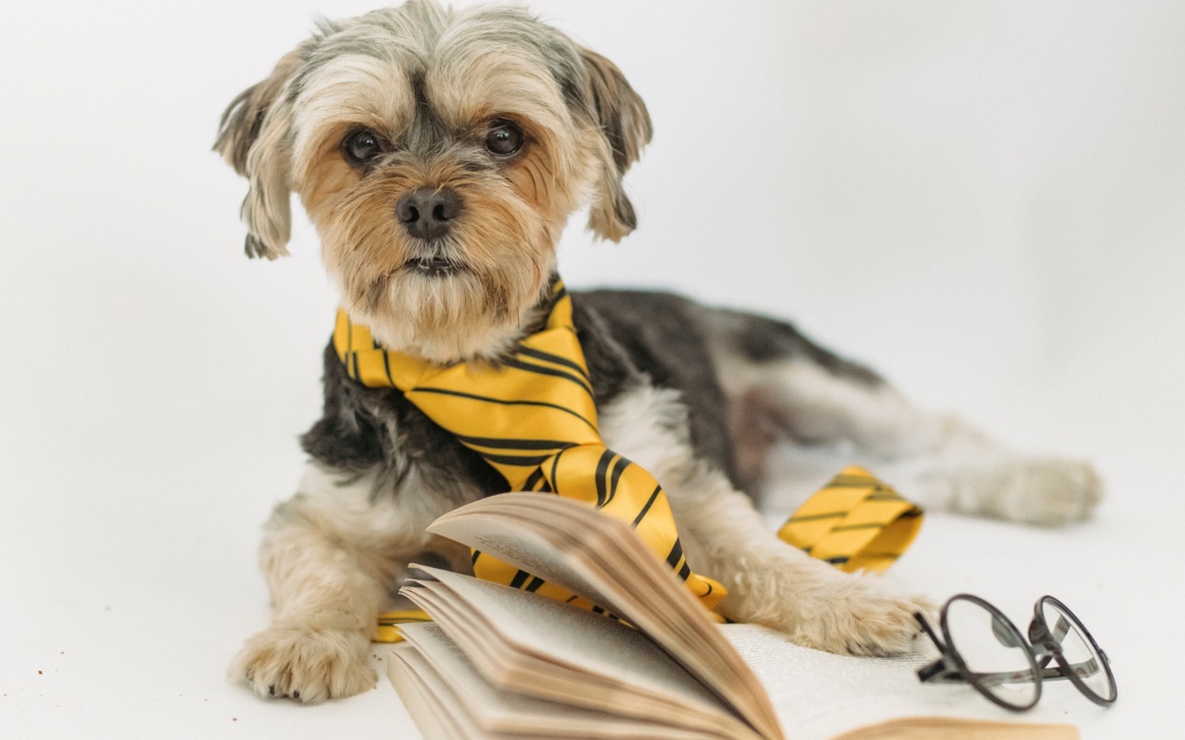 Reading to Rover